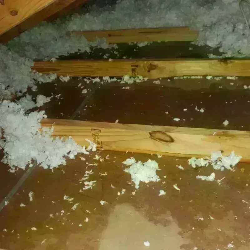 Attic Water Damage in Ashland, KS