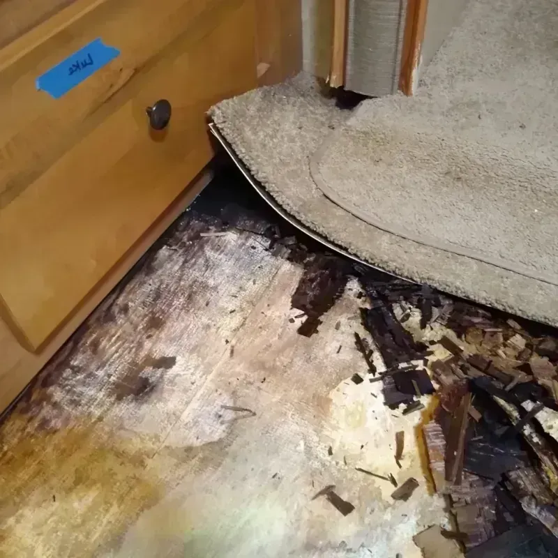 Wood Floor Water Damage in Ashland, KS